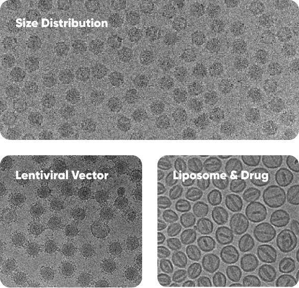 NanoSMART, an AI cryoEM system, automatically identifies nanoparticle features in images from various electron microscopes