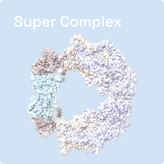 Super%20Complex Scaned by Shuimu Biosciences