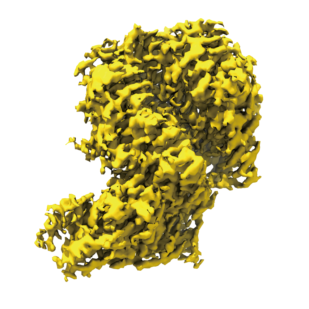 CryoEM at Shuimu CryoEM Center